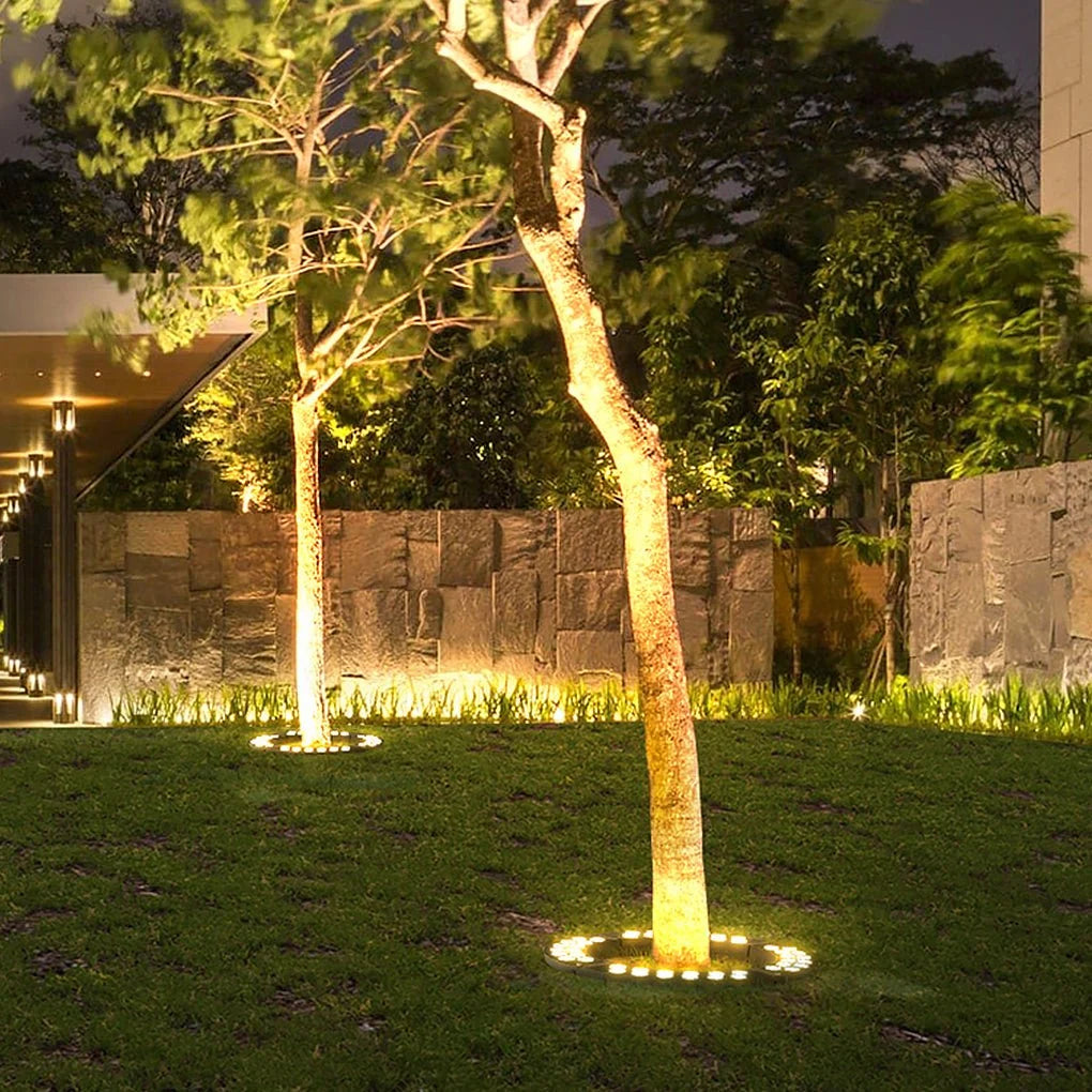 Glowing tree trunk in a garden setting with stone wall and grass