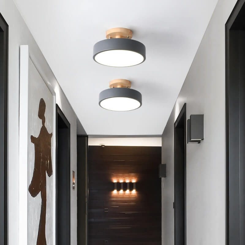 Modern ceiling lights in a hallway with a dark door and wall art.