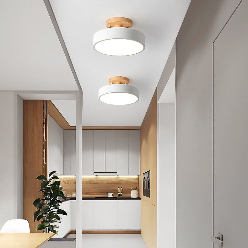 Modern kitchen interior with ceiling lights and a plant.