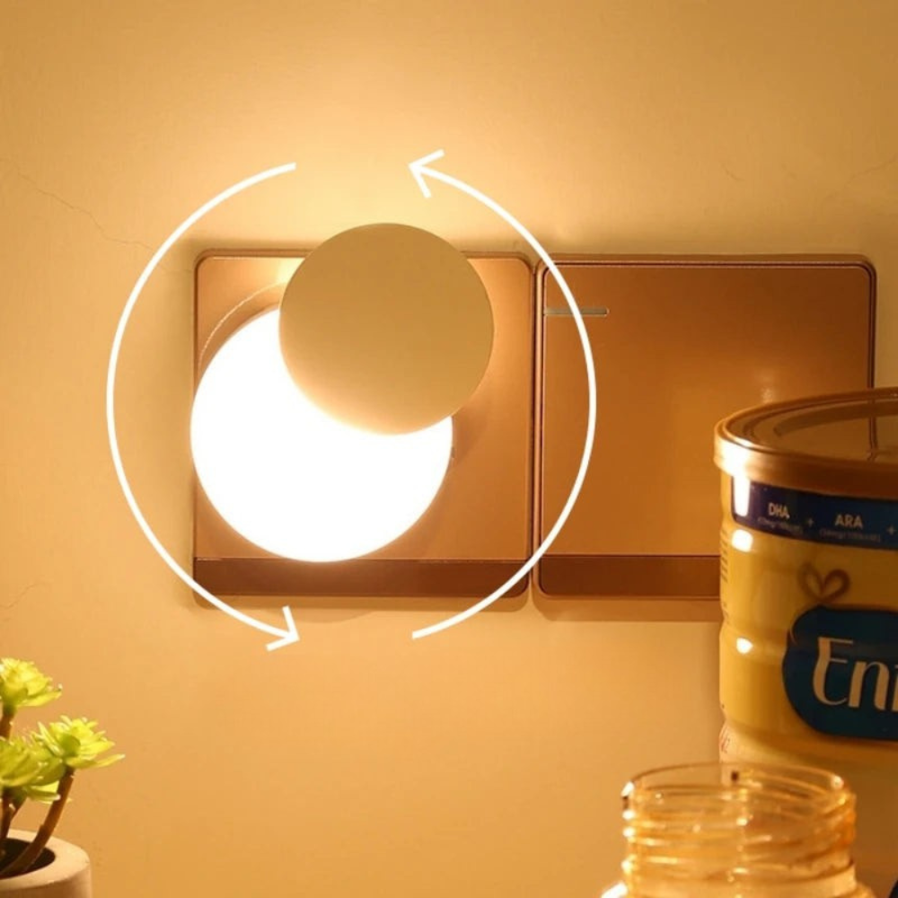 Light bulb attached to a wall socket with a jar and plant in the foreground.