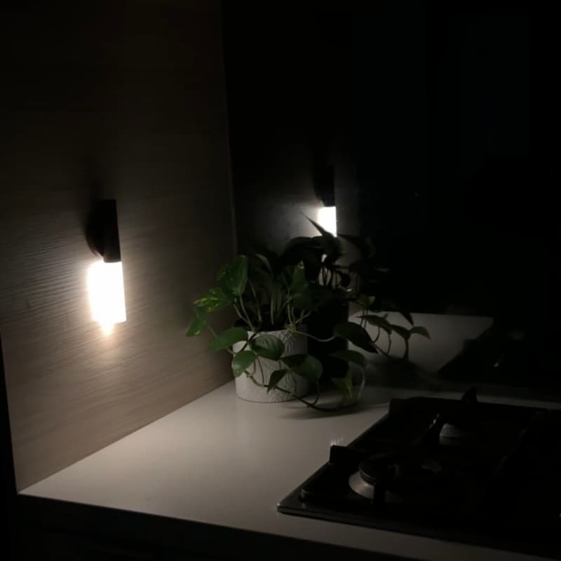 Dark room with a plant on a surface illuminated by wall lights.