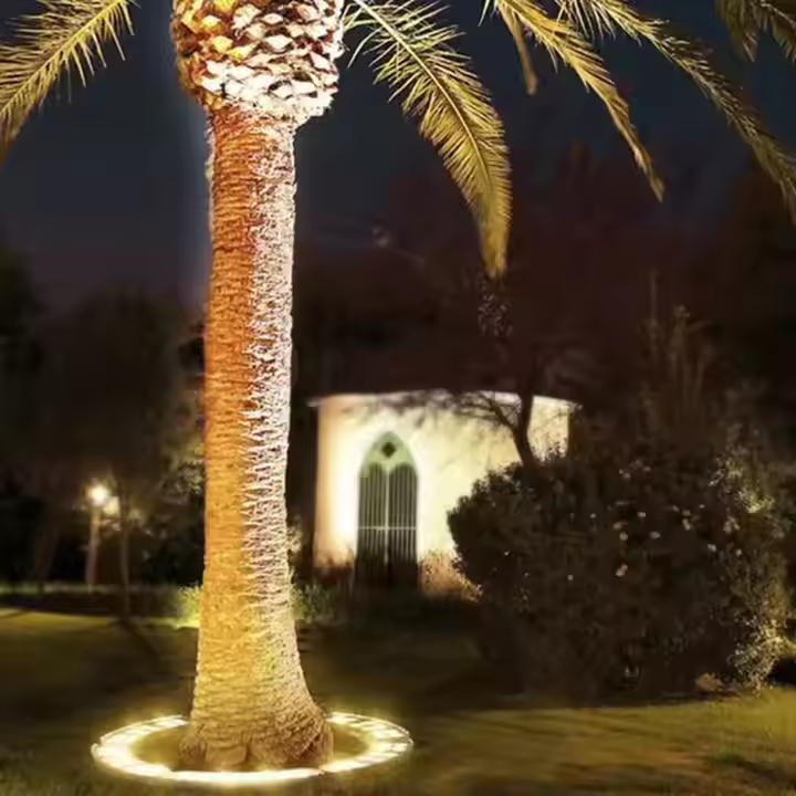 Decorative string lights on a palm tree in a garden setting at night.
