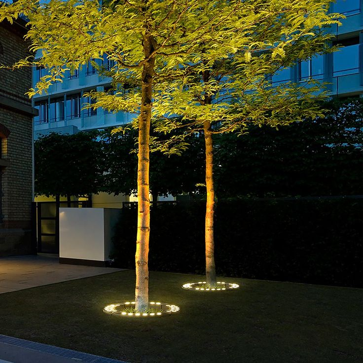 Two trees with illuminated bases in a dark outdoor setting, possibly a park or garden.