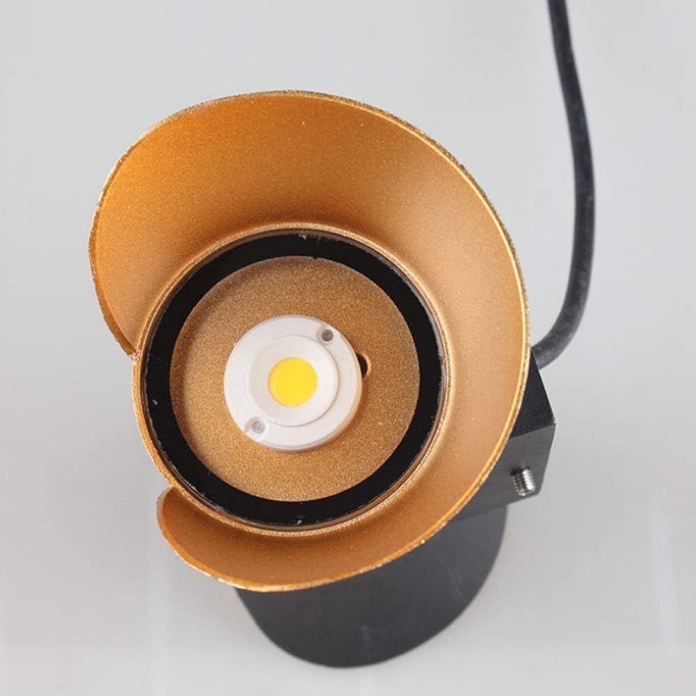 Close-up of a gold and black light fixture on a white background