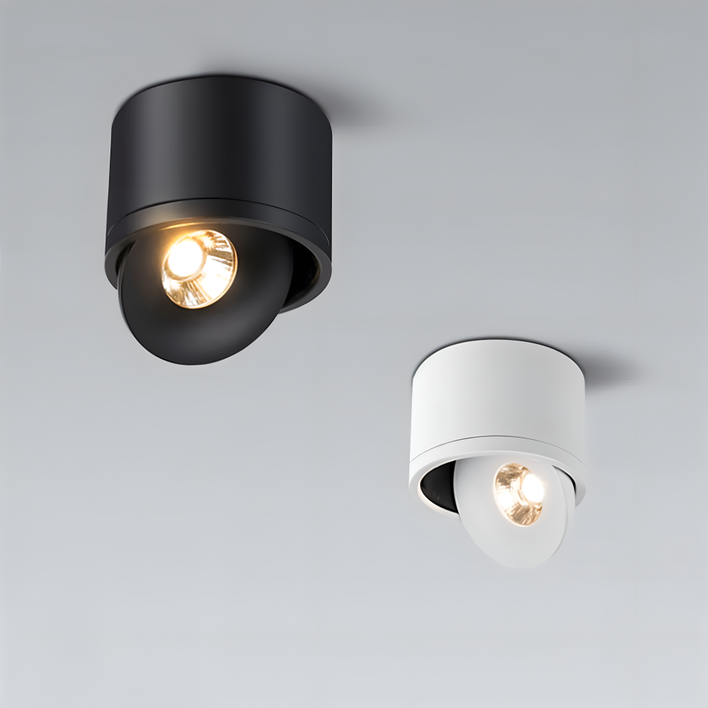 Two cylindrical ceiling lights, one black and one white, on a gray background.