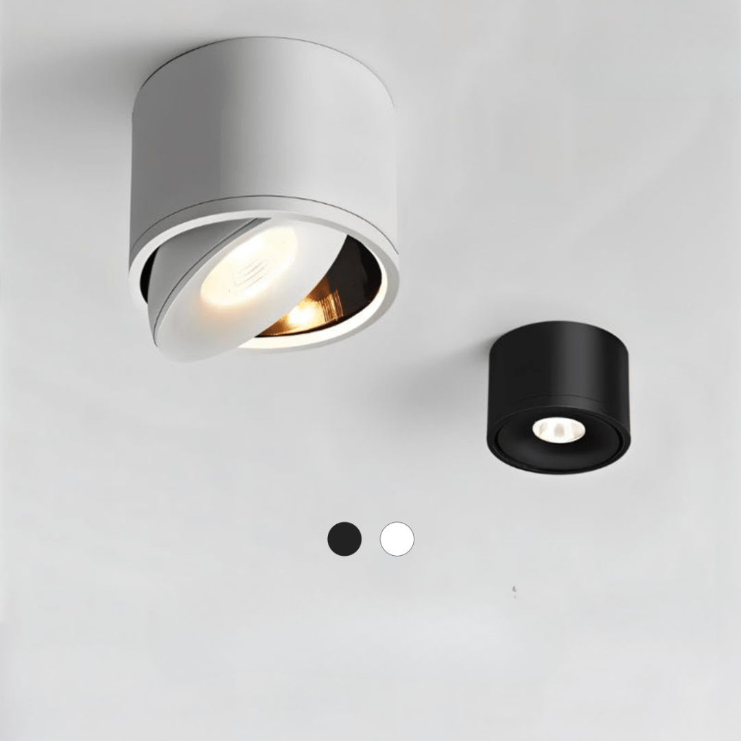Two ceiling lights, one silver and one black, on a light gray background.