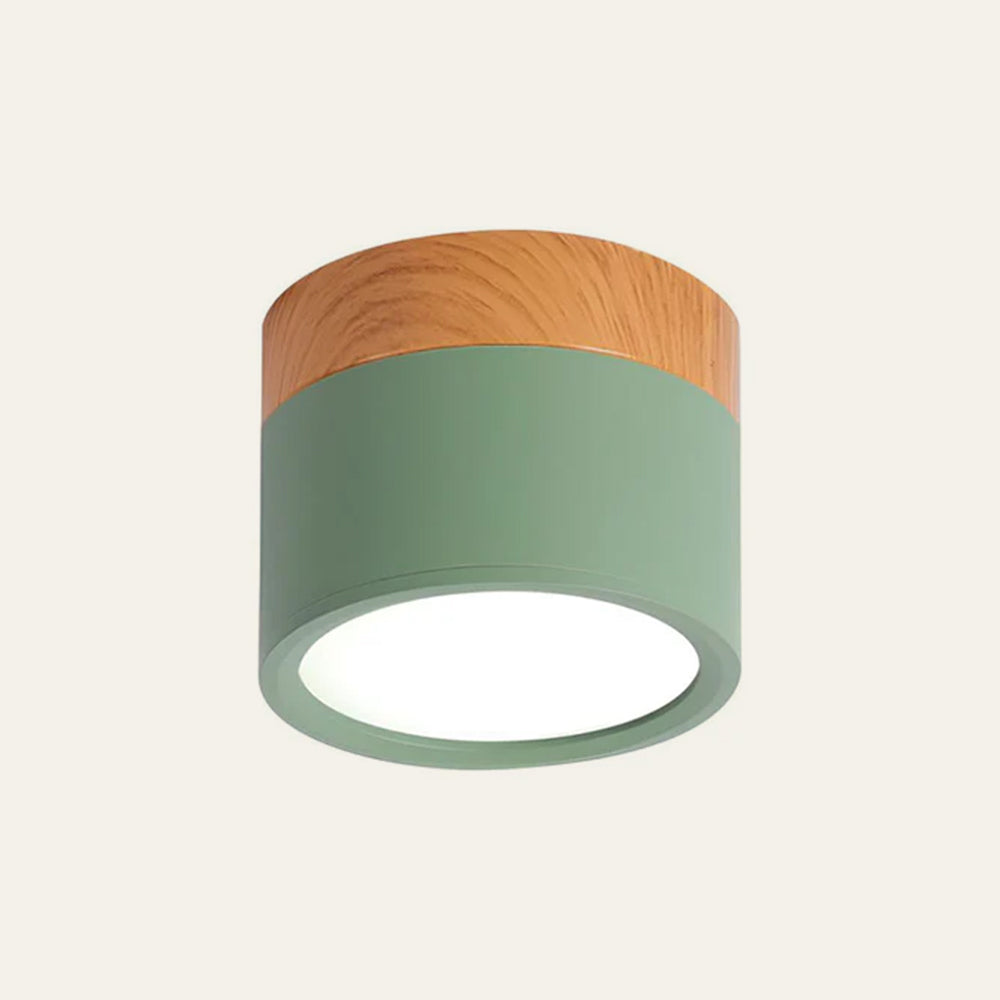 Ceiling light fixture with wooden top and green base on a white background