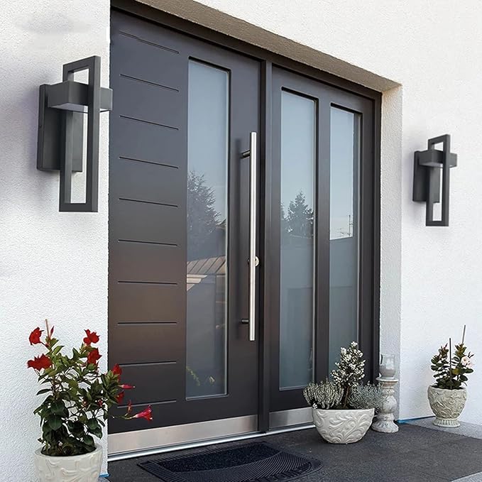 Modern front door with glass panels and decorative plants on a white wall.