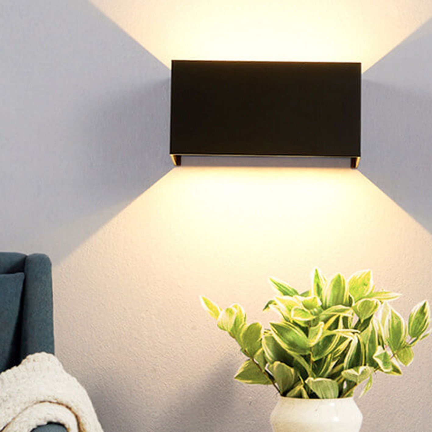 Modern wall-mounted light fixture on a gray wall with a plant in the foreground.