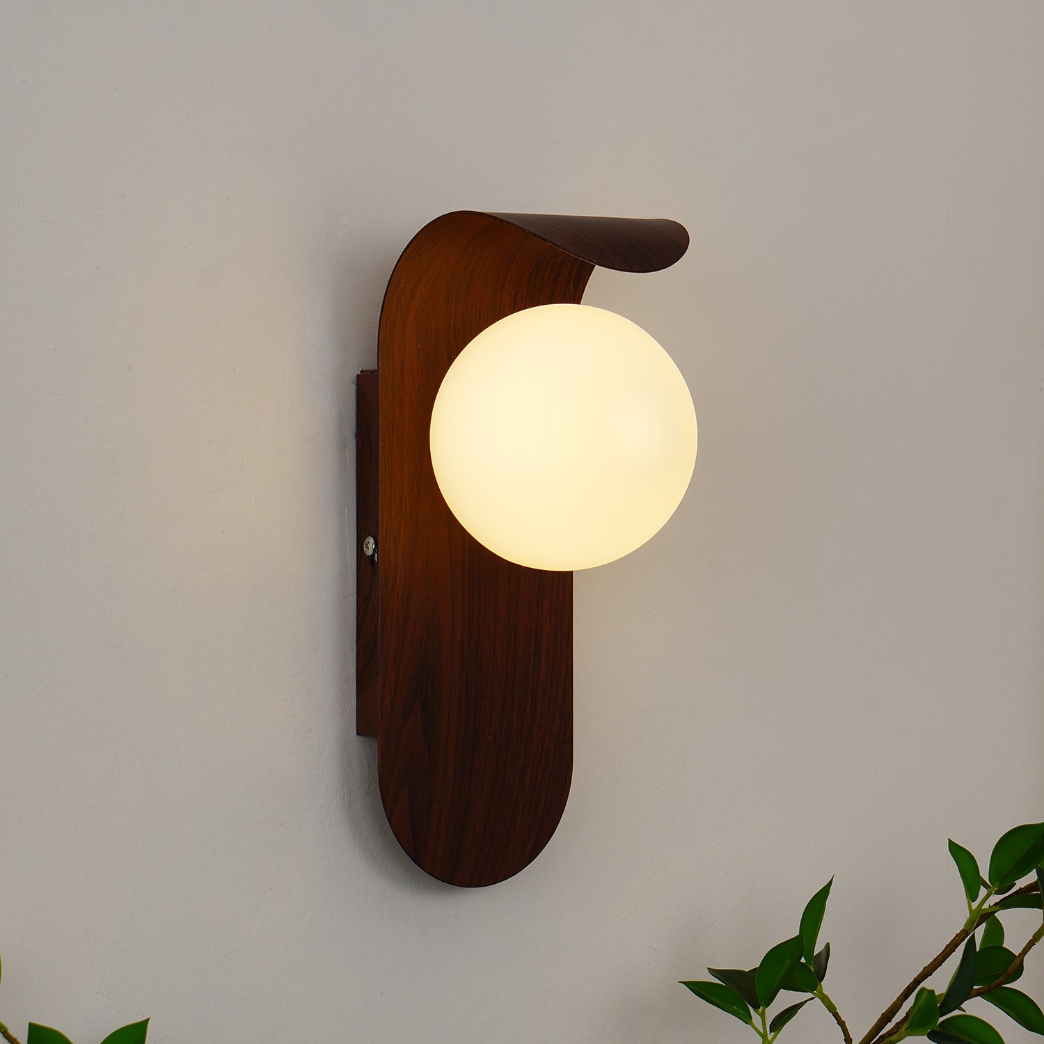 Wooden wall lamp with a round glass shade on a neutral background