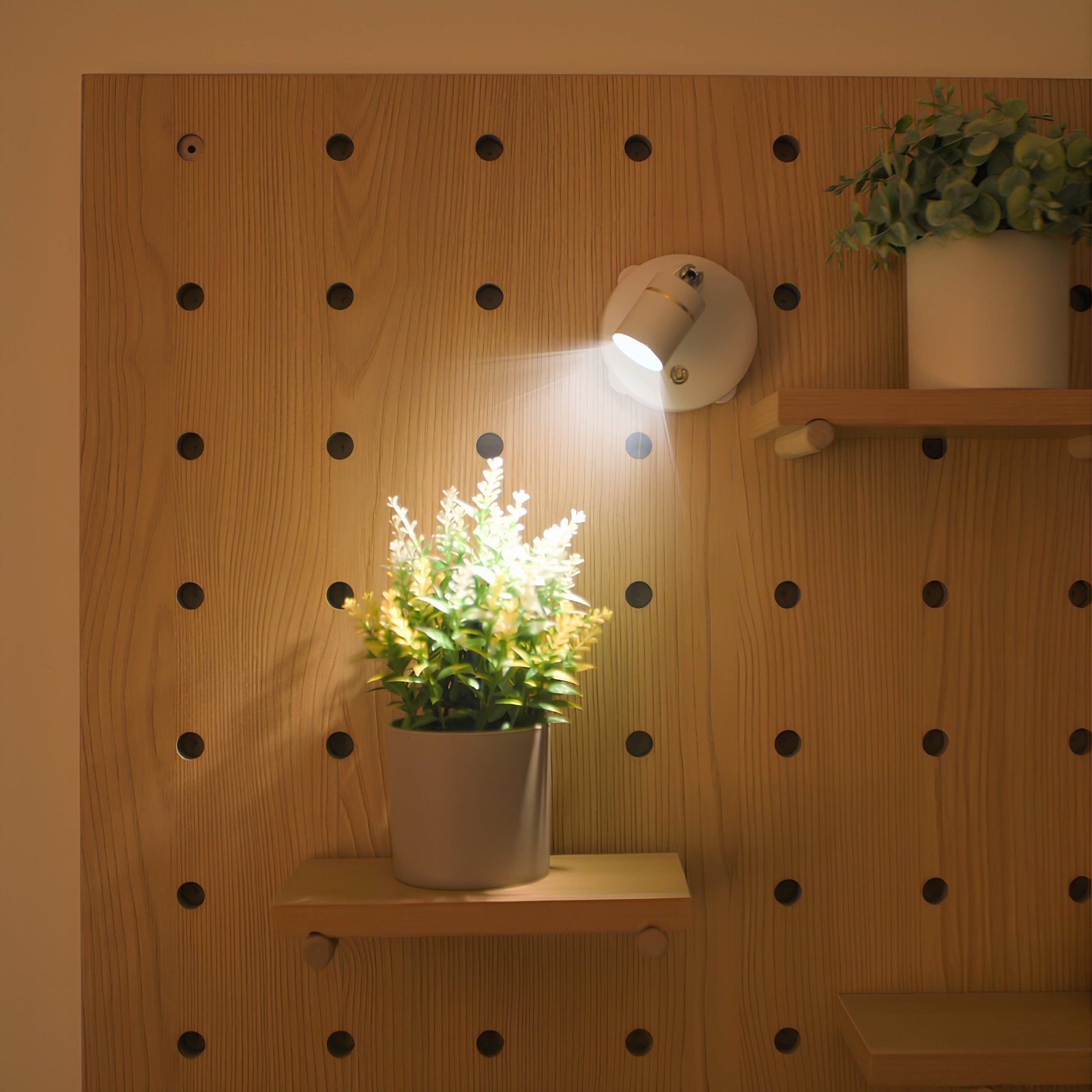 Potted plant under a wall-mounted light on a wooden pegboard.