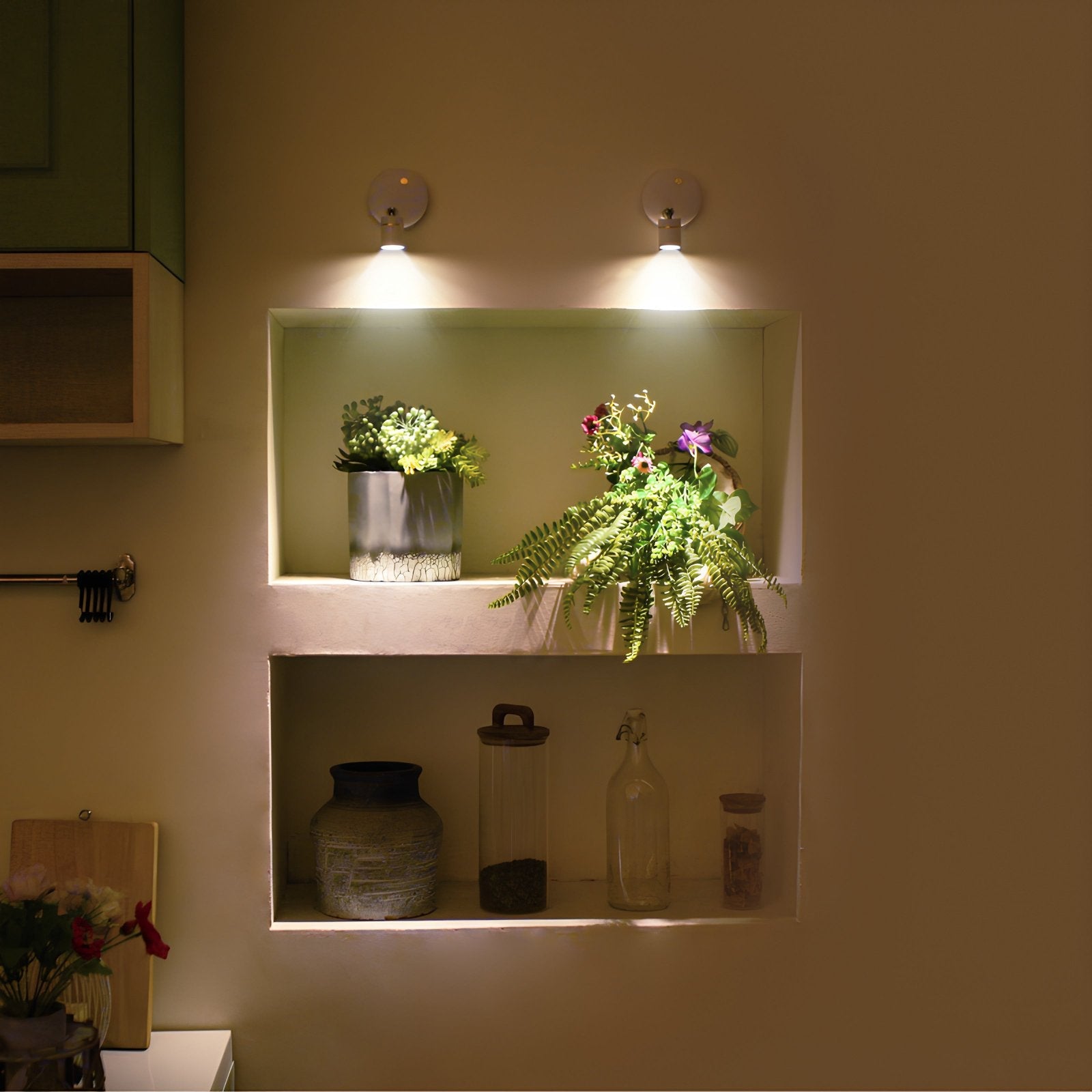 Shelves with plants and decorative items in a softly lit room