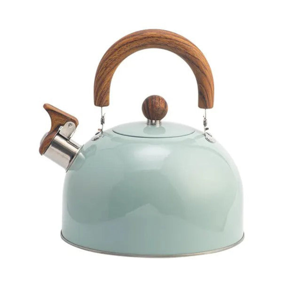 Mint green kettle with wooden handle and whistling device on a white background