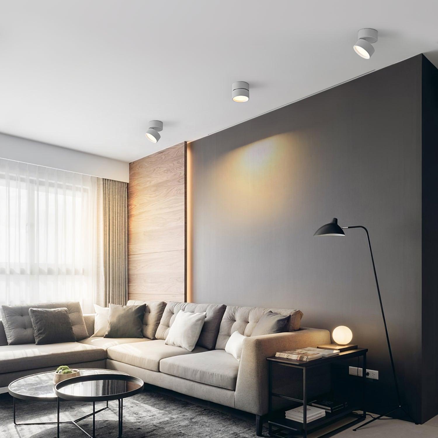 Modern living room with a gray sectional sofa, coffee table, and floor lamp.
