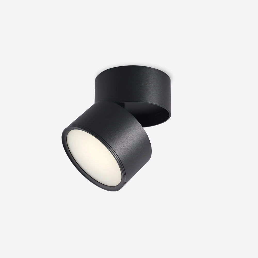 Black ceiling light fixture on a white background