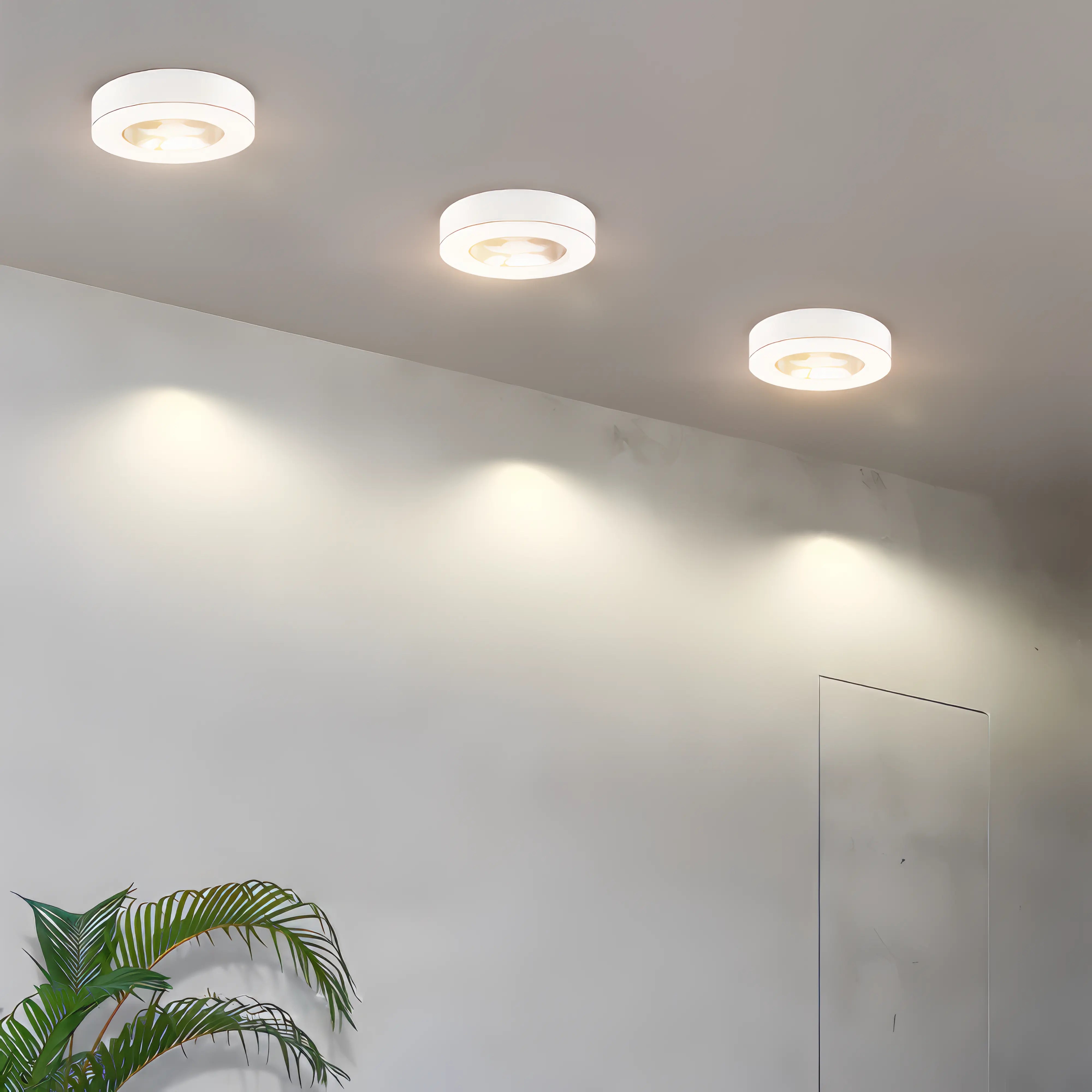 Three ceiling lights on a white wall with a plant in the corner