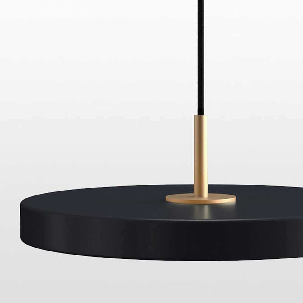 Black pendant light with gold fixture on a white background