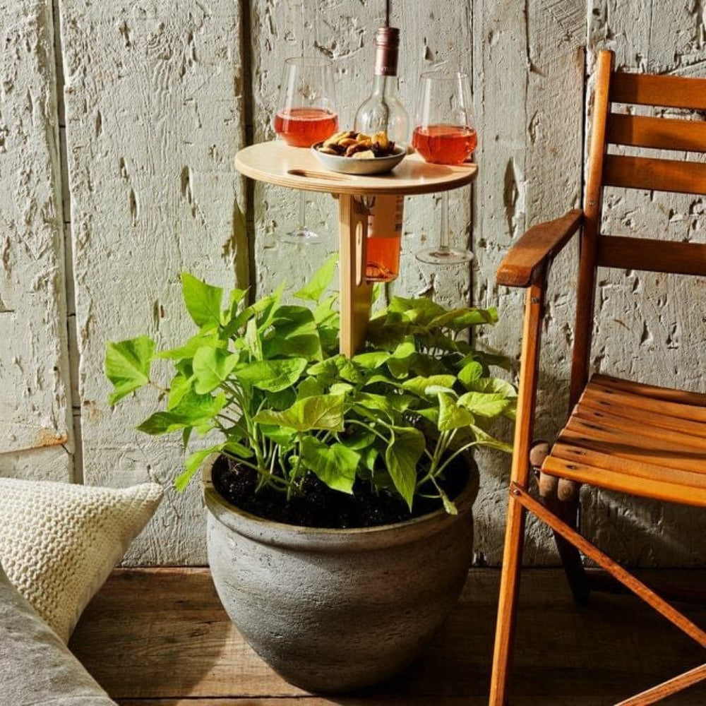 Potted plant on a wooden table with glasses of pink wine and a bottle, against a textured wall.
