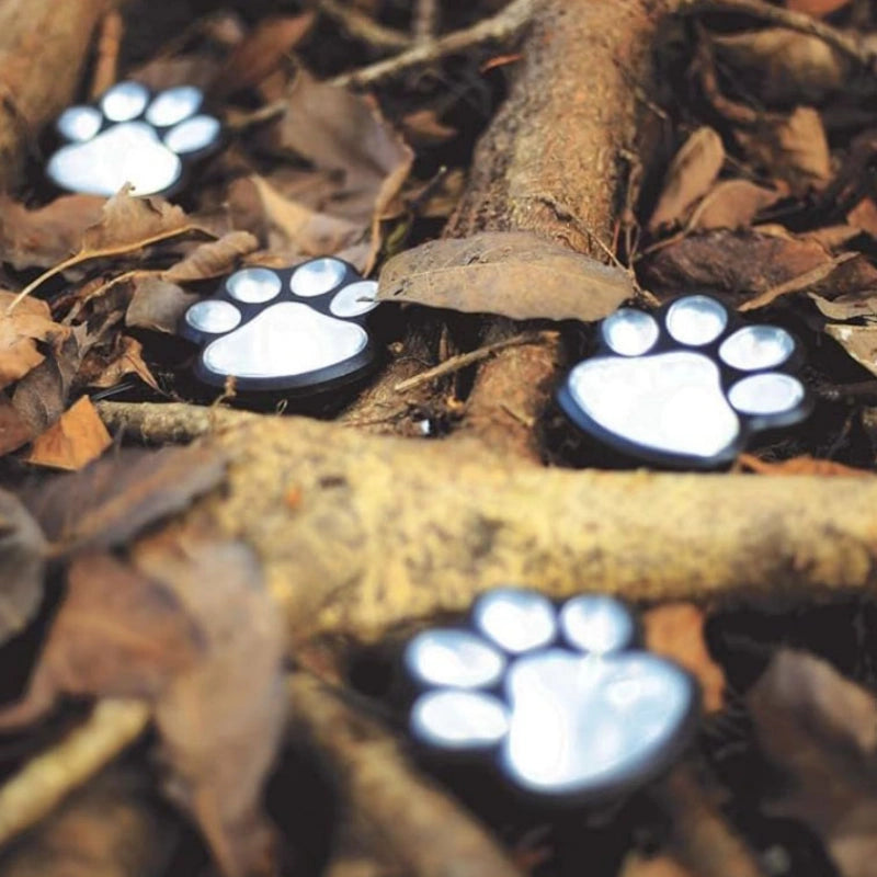 Glowing paw print lights on a forest floor with leaves and branches.