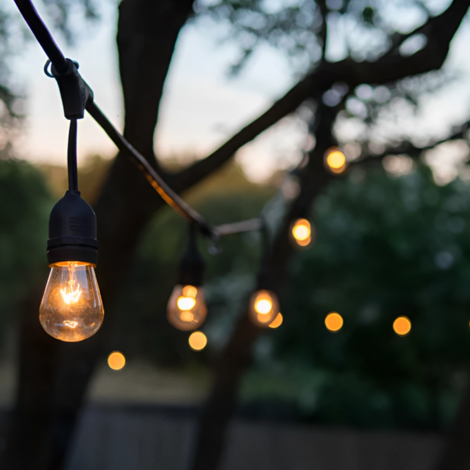 String lights hanging from tree branches with a blurred background