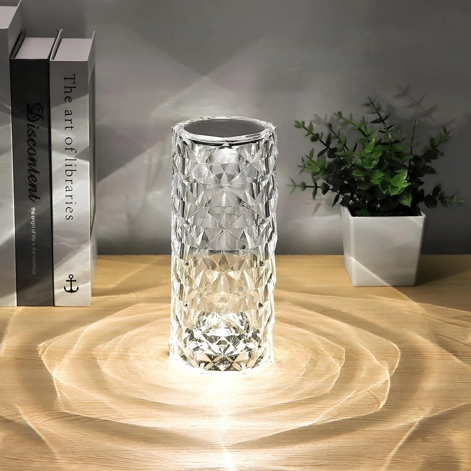 Crystal-like lamp on a wooden surface with a book and plant in the background