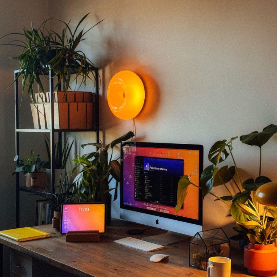 Home office setup with a computer, plants, and decorative items on a wooden desk.