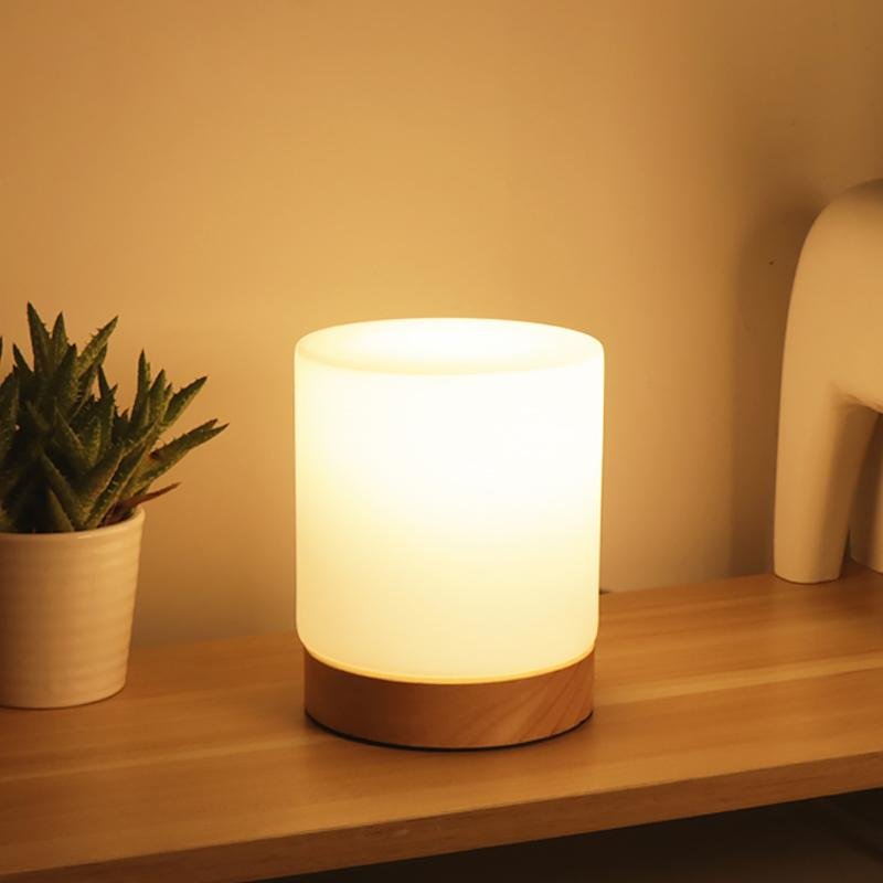 Frosted glass lamp with wooden base on a wooden surface next to a plant