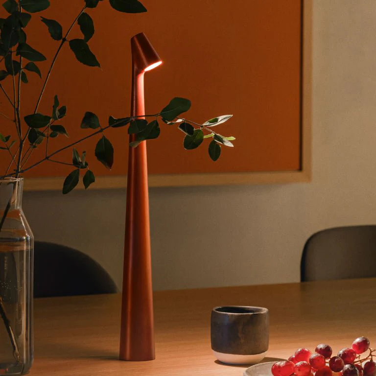 Modern table lamp on a wooden surface with a vase and grapes in the background