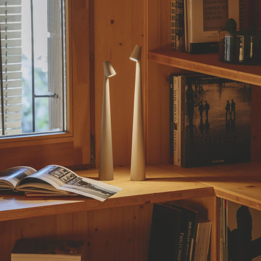 Wooden bookshelf with books and a lamp near a window