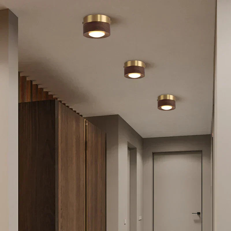 Modern ceiling lights in a room with wooden paneling and a door.