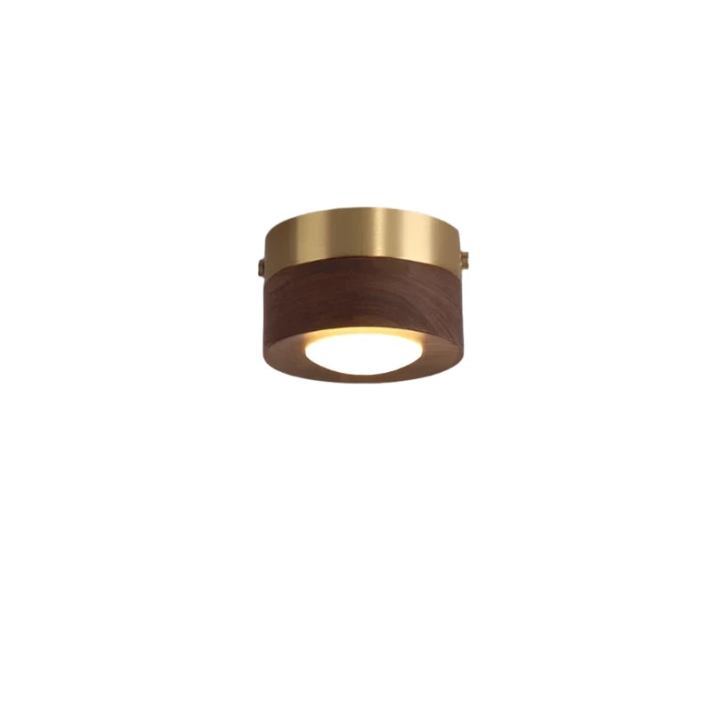 Ceiling light fixture with gold and wood finish on a white background