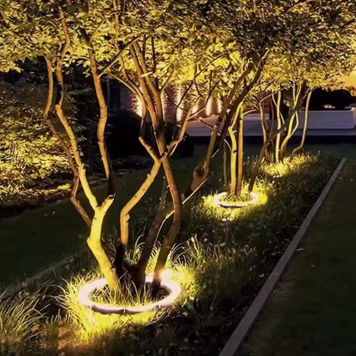 Glowing garden lights illuminating tree branches at night