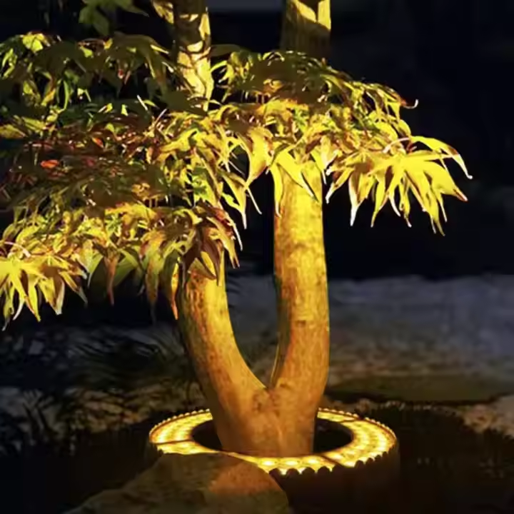 Decorative tree with illuminated base on a dark background