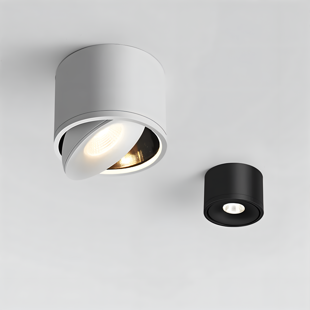 Two cylindrical ceiling lights, one silver and one black, on a light gray background.