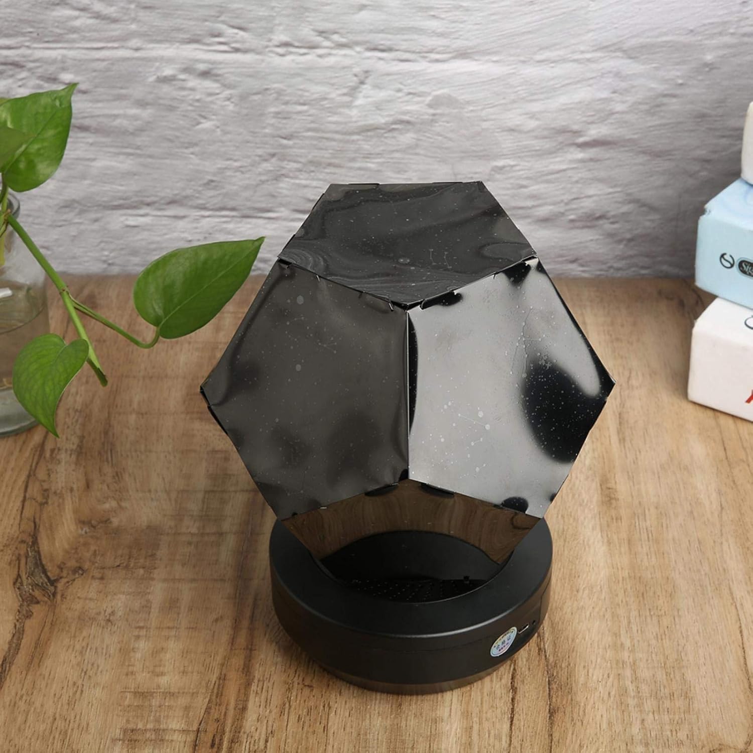 Black and silver geometric object on a wooden surface with a plant and other items in the background.
