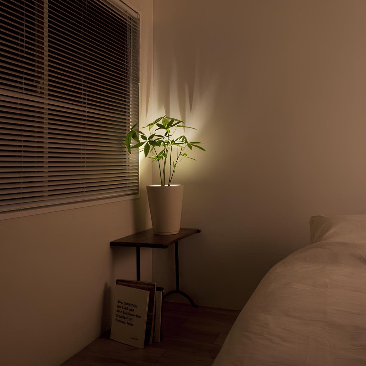 Potted plant on a small table next to a bed in a dimly lit room