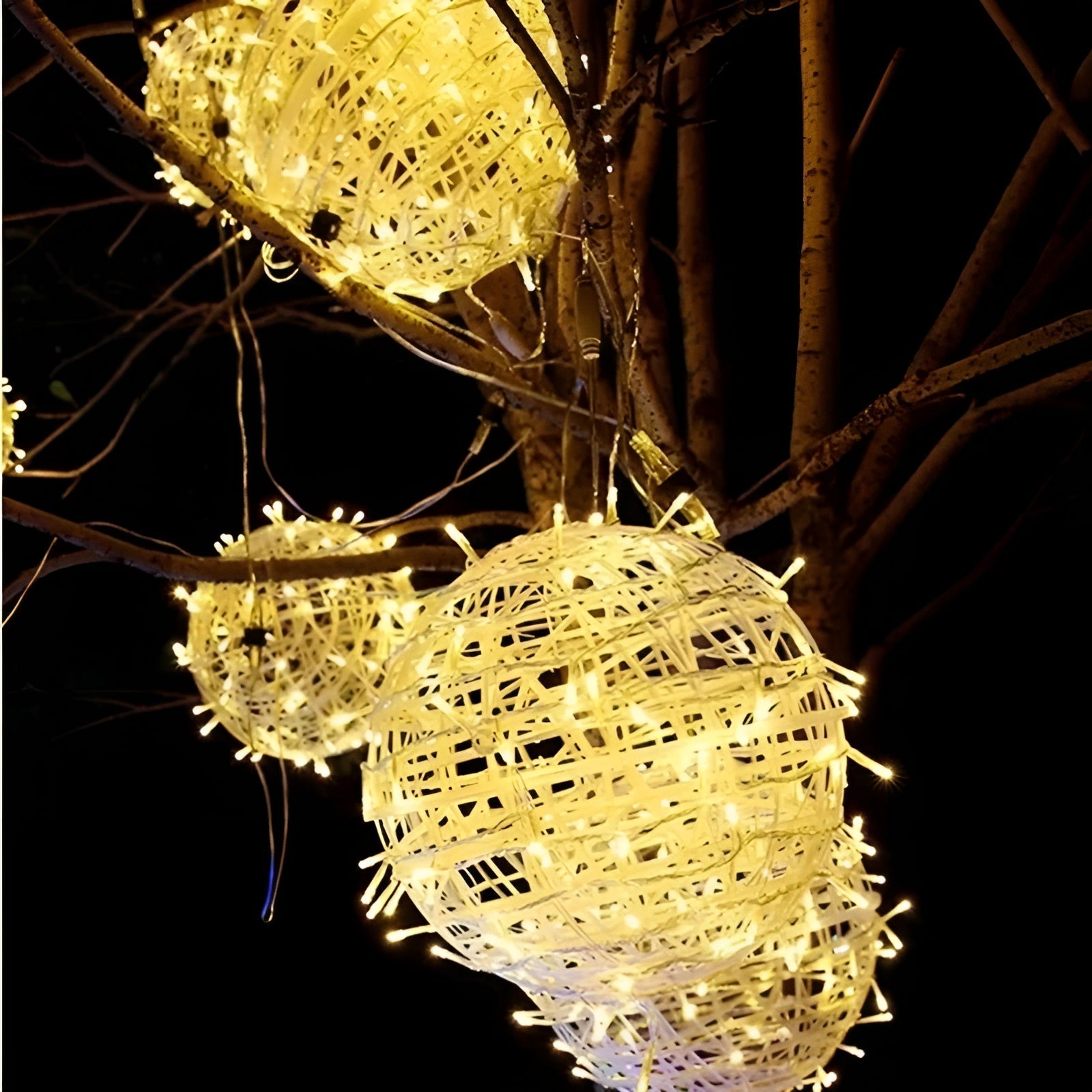 Decorative spherical lights hanging on tree branches against a dark background