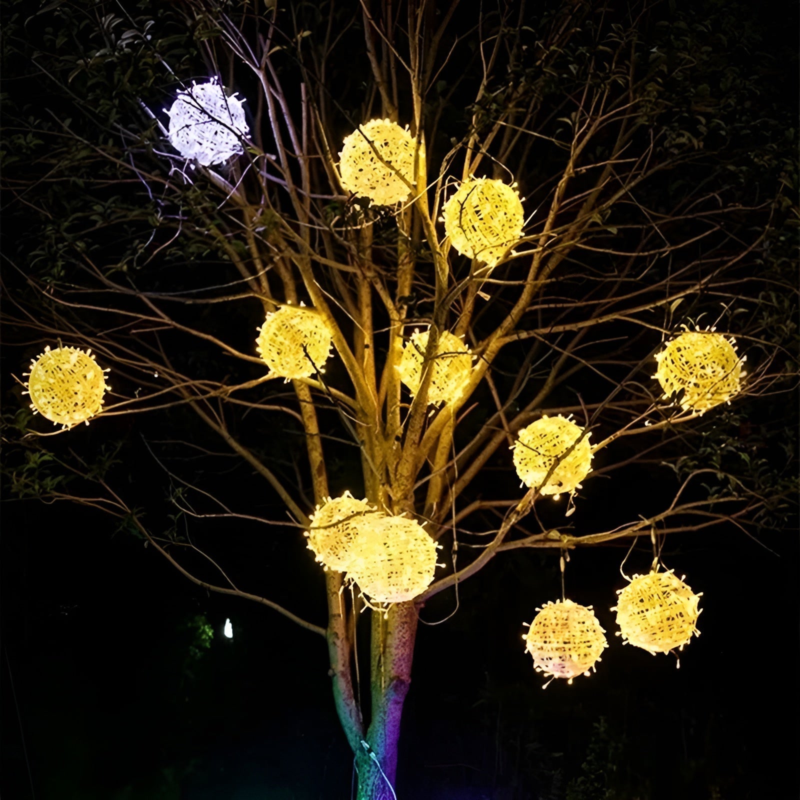Decorative lights shaped like flowers are hanging from a tree at night.