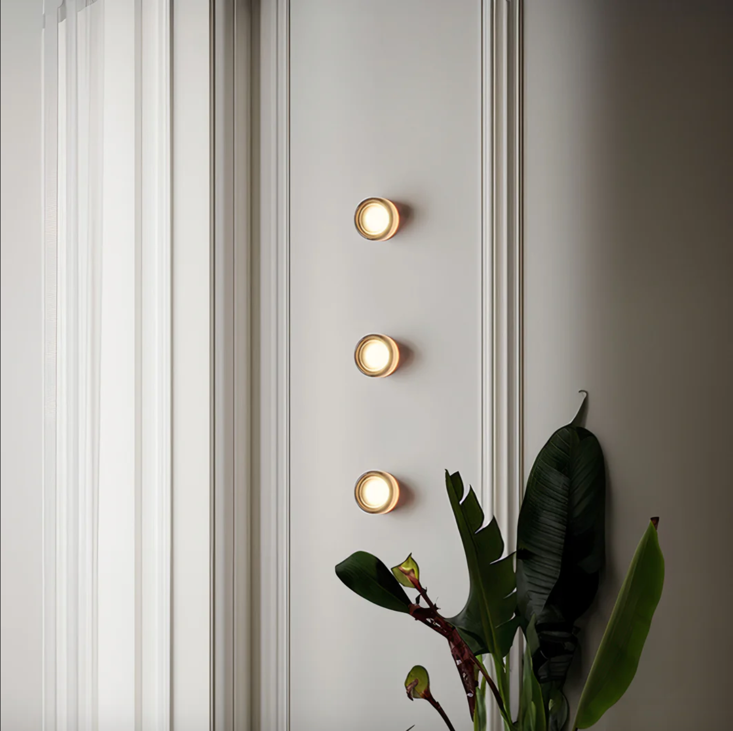 Three wall-mounted lights on a white wall with a plant in the foreground.