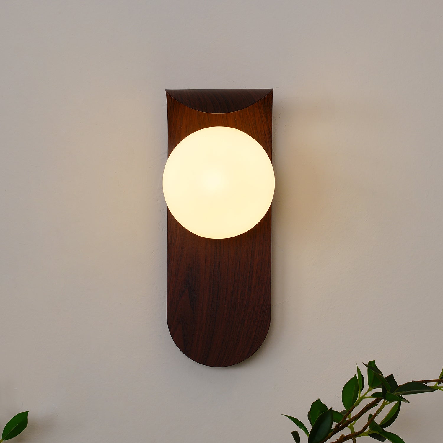 Wooden wall sconce with a round light bulb on a neutral background