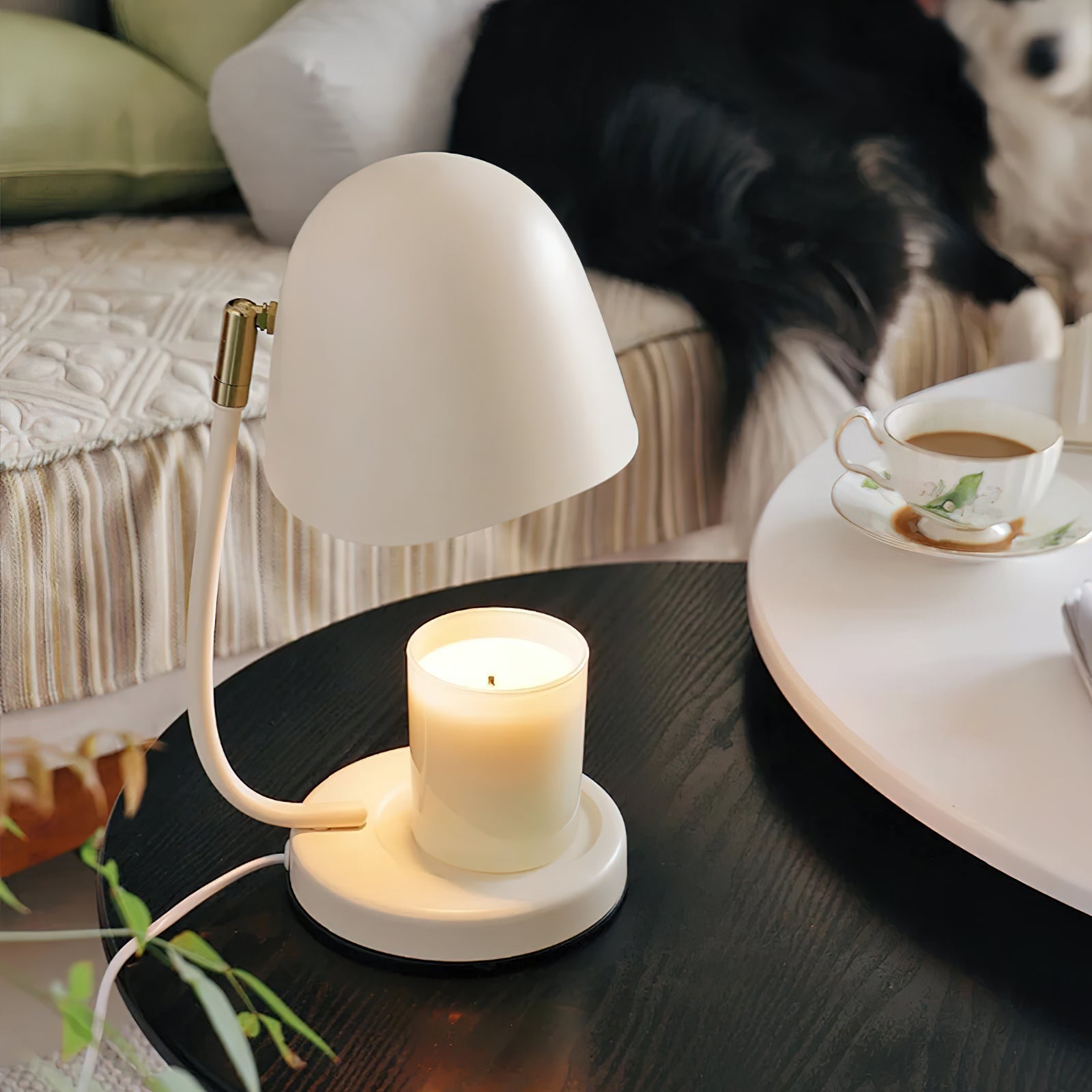 Small lamp with a candle on a table next to a cup of coffee and saucer, with a dog in the background.