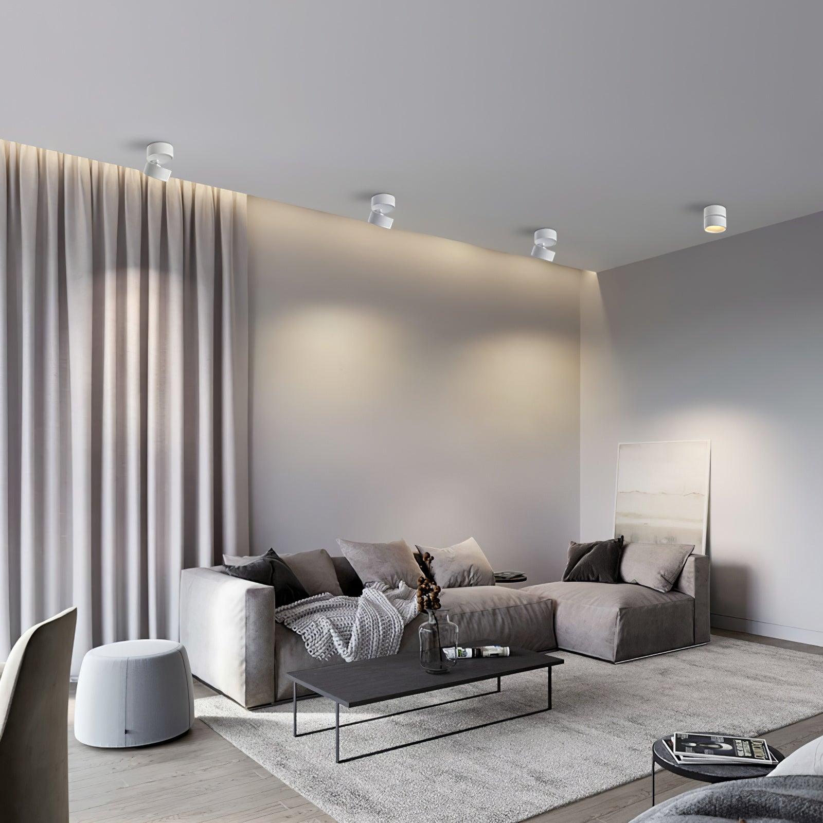 Modern living room with gray sofa, coffee table, and decorative elements.