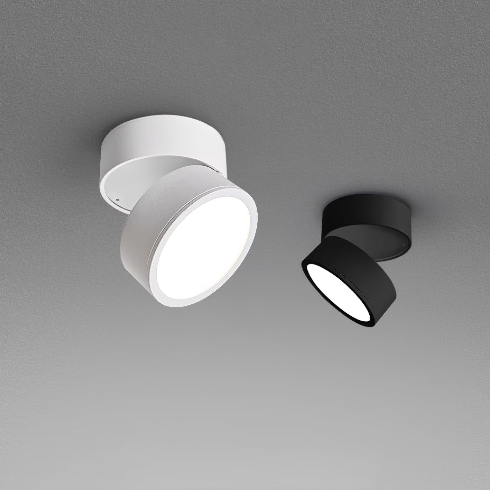 Two ceiling lights, one white and one black, on a gray background