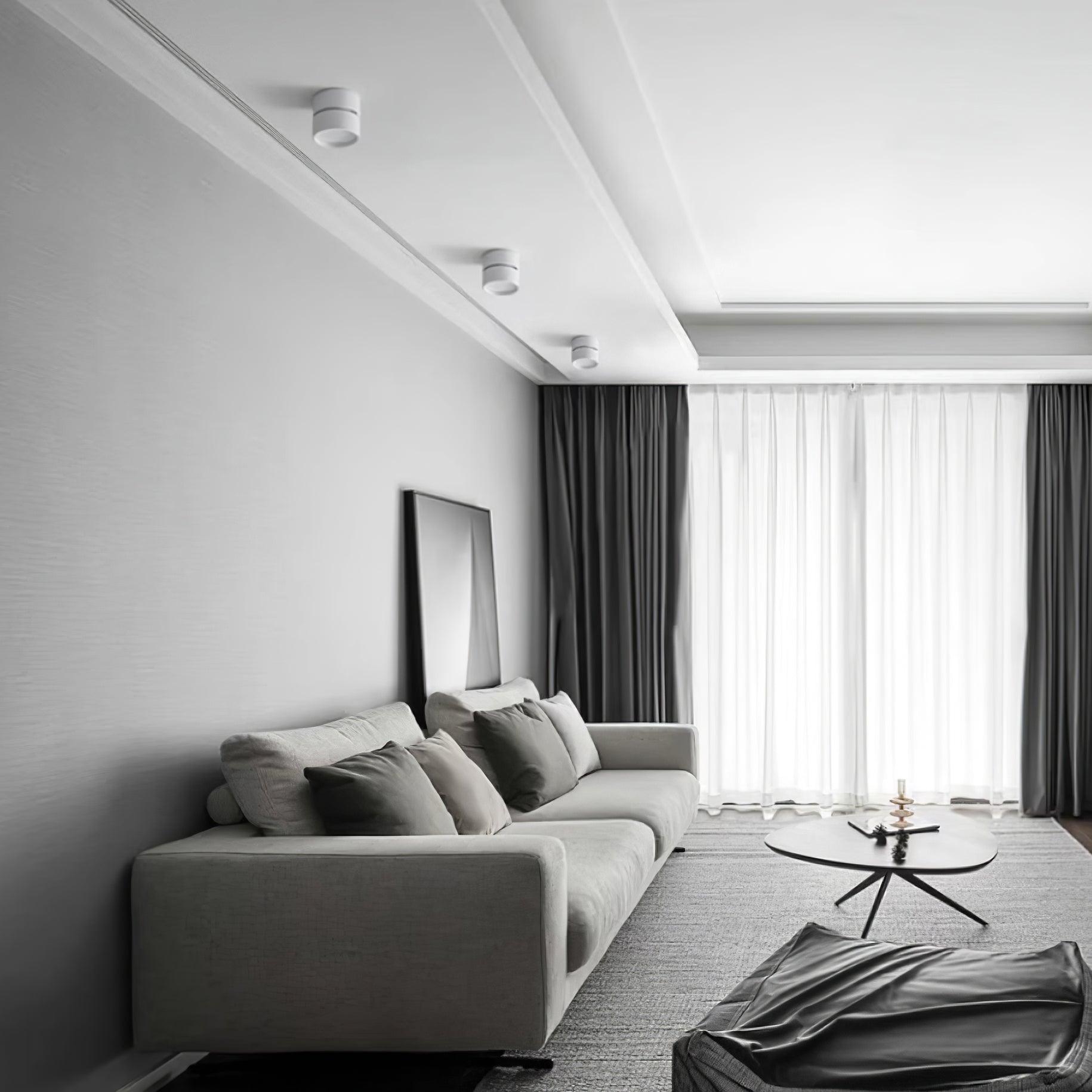 Modern living room with a gray sofa, coffee table, and large windows.