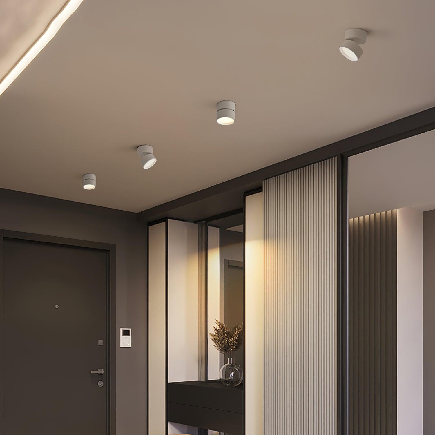 Modern interior with ceiling lights and a door