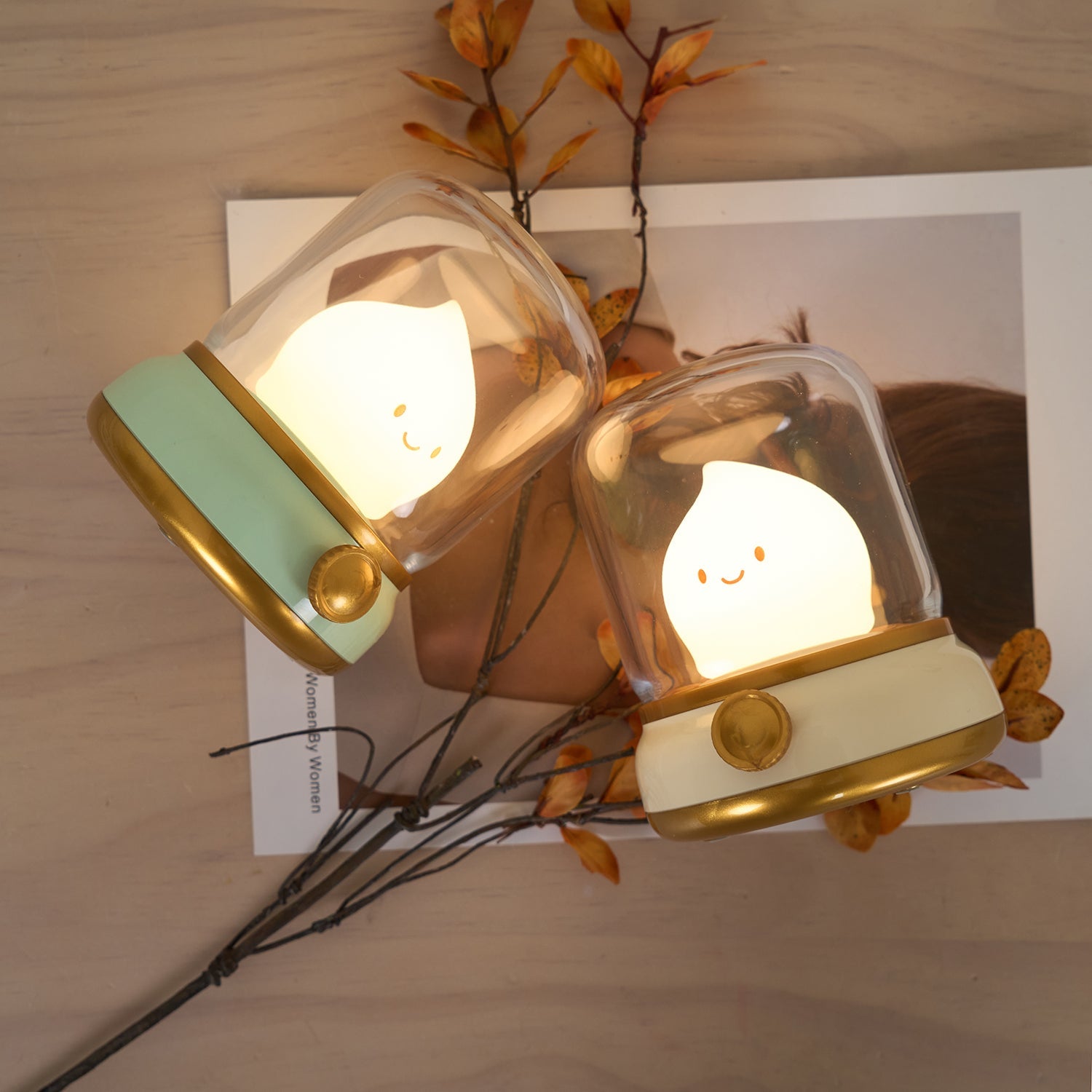 Two small night lights with smiling faces on a wooden surface with leaves and a photo in the background.