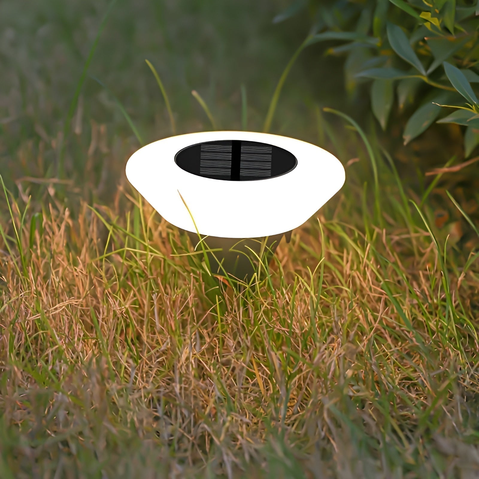 Solar-powered outdoor light fixture in grass with a blurred background