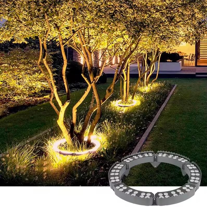 Glowing outdoor lights embedded in a tree with a close-up of the light fixture in the foreground.