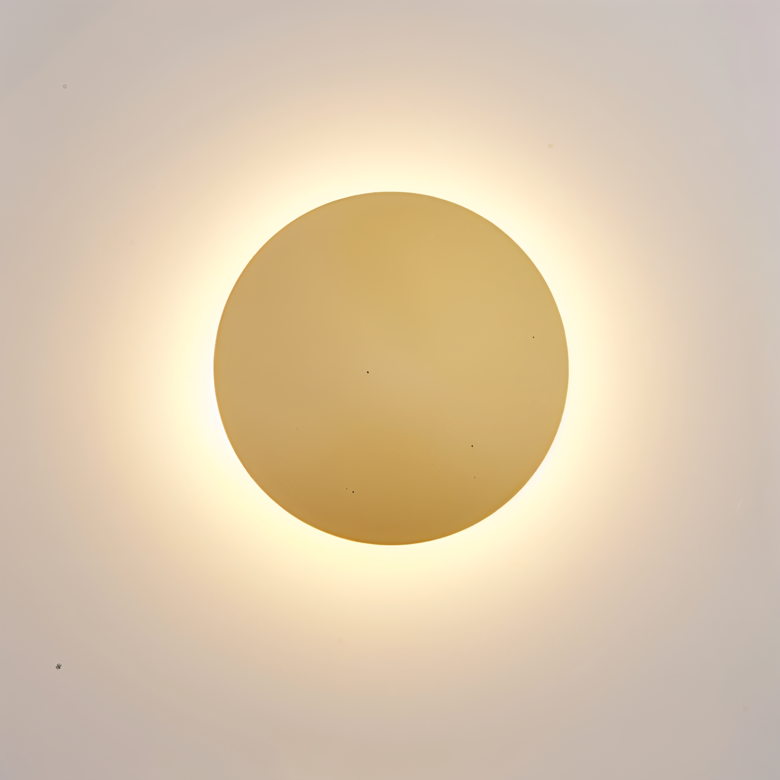 Round gold wall sconce on a light gray background