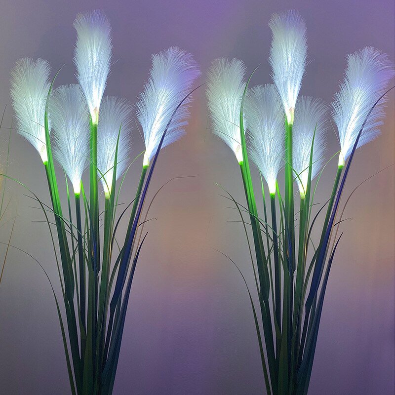 Decorative plant with illuminated white flowers against a dark background
